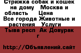 Стрижка собак и кошек на дому.  Москва и область.  › Цена ­ 1 200 - Все города Животные и растения » Услуги   . Тыва респ.,Ак-Довурак г.